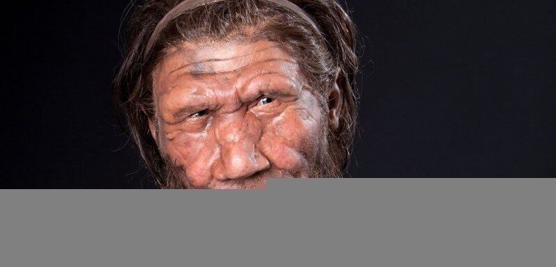Neanderthal, una nuova scoperta apporta novità molto interessanti