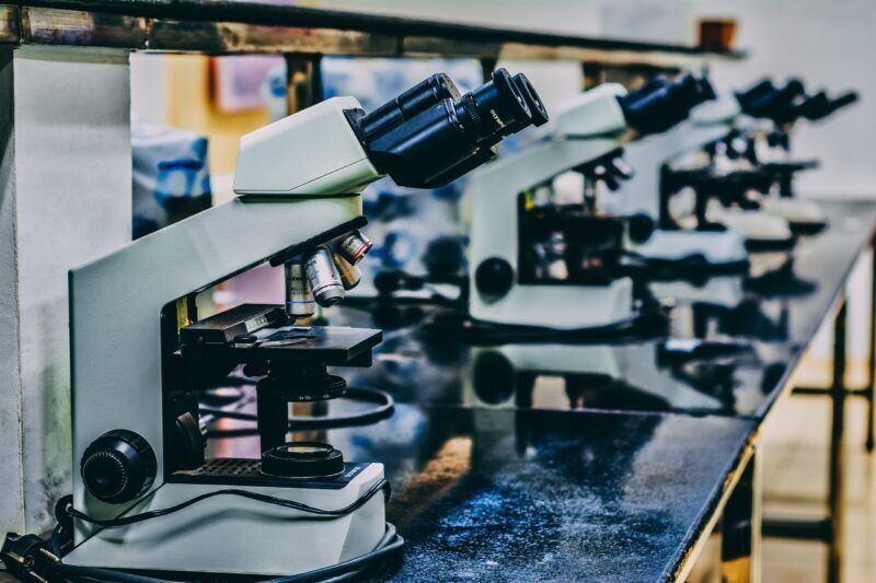 I vermi condividono i “ricordi” attraverso l’RNA per avvertire del pericolo