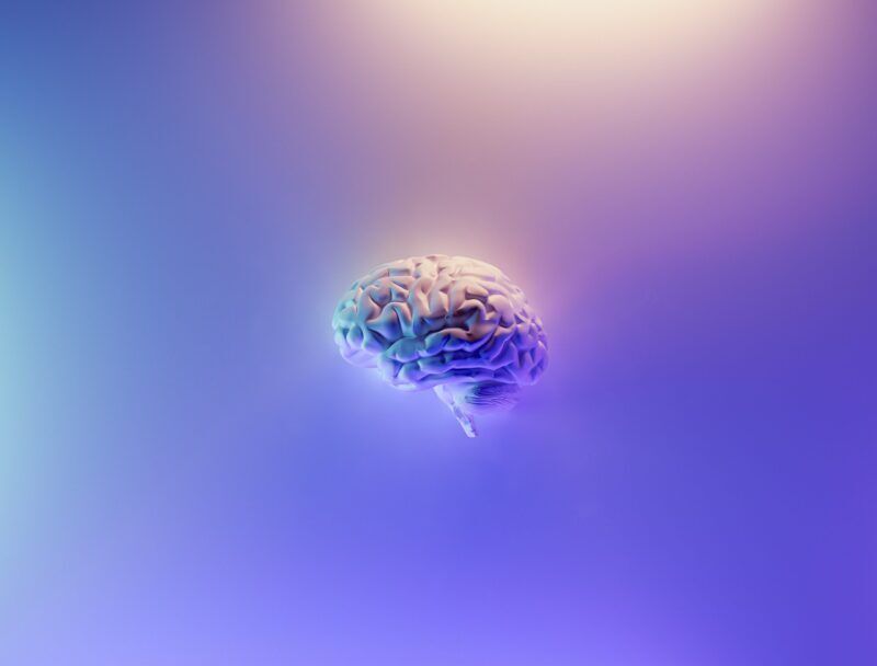 Le cellule del cancro al cervello si adattano per sopravvivere allo stress