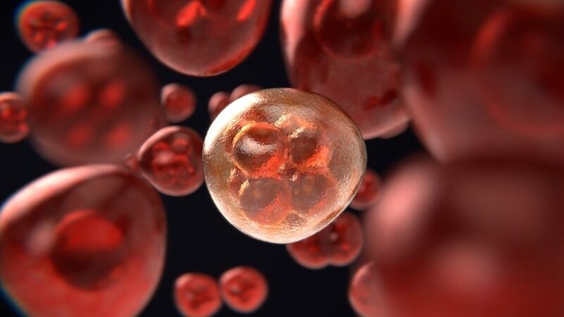 Un’iniezione di batteri morti nei tumori potrebbe rivoluzionare il trattamento del cancro