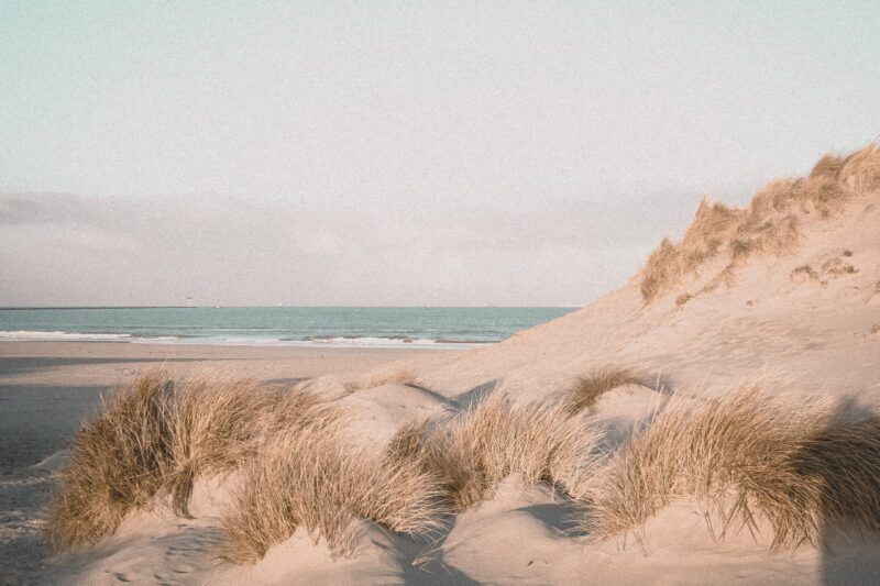 Il movimento delle dune di sabbia è un pericolo per la natura