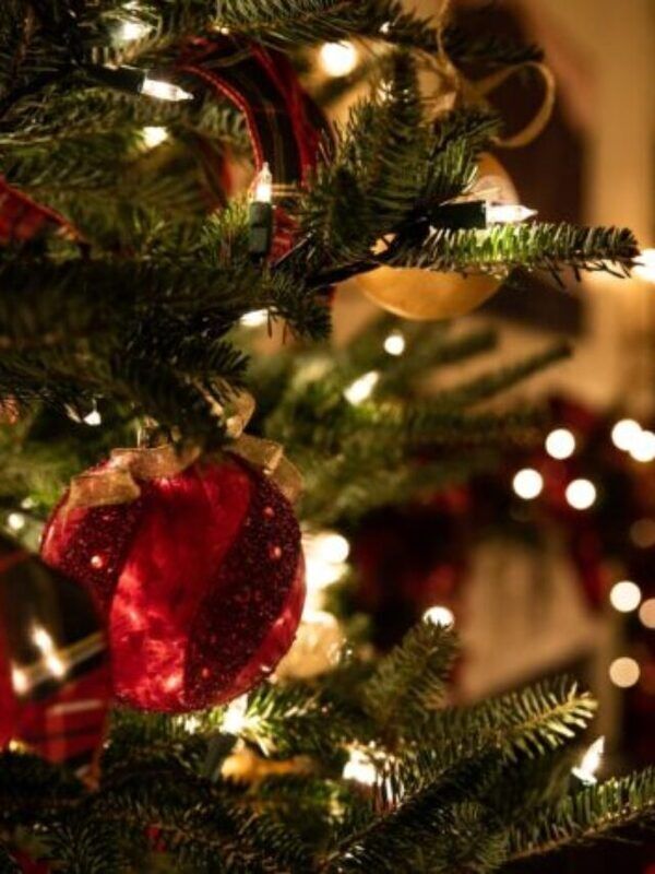 Le top IN news sotto l’albero!