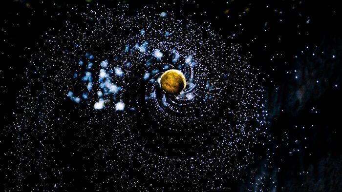Gli scienziati sostengono che potrebbero esserci altri “esseri umani” nell’Universo