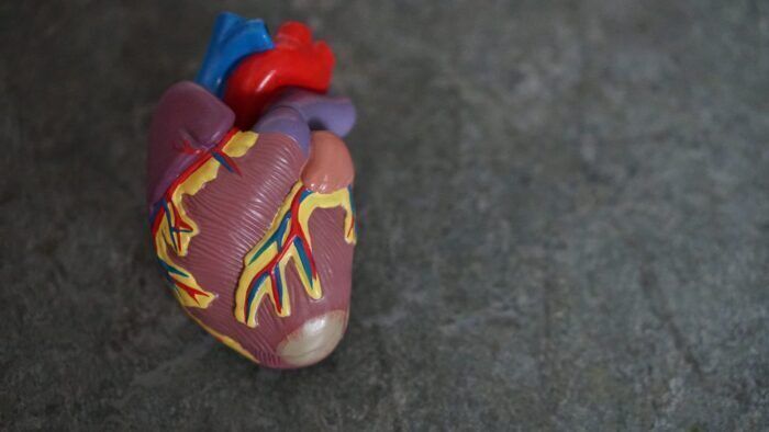 Trapiantato cuore di maiale in un intervento chirurgico senza precedenti