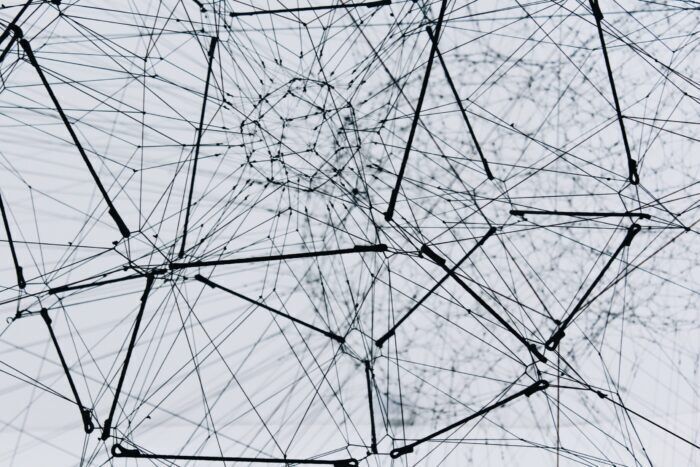 Scoperto come i neuroni si localizzano nel cervello creando connessioni sinaptiche