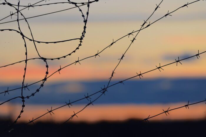 Quali sono le cause più curiose che hanno dato origine ad alcune guerre