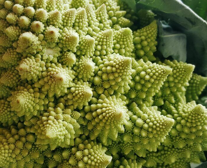Decifrata grazie alla matematica la forma regolare dei cavolfiori