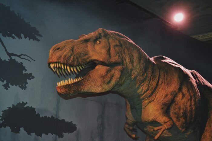 Scoperta in Cina la prima specie di dinosauro corazzato