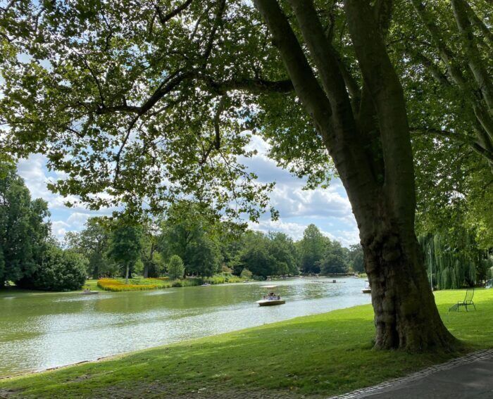 Perchè al nostro cervello piace la natura nelle città: è tutta questione di frattali