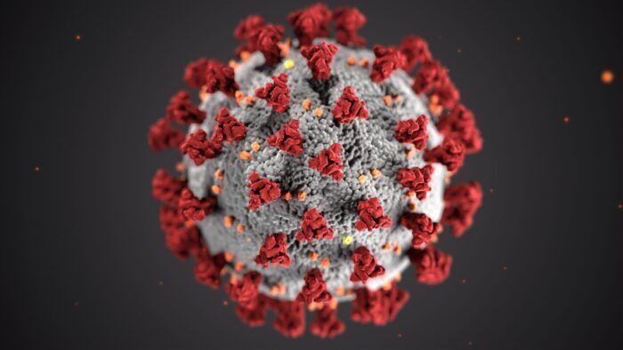 SARS-CoV-2 potrebbe annidarsi sotto forma diverse varianti nascoste in numerose parti del corpo