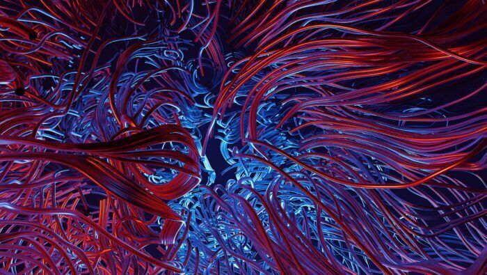 Coppia di proteine aiuta ​​i nostri neuroni a connettere le sinapsi senza perdere il controllo