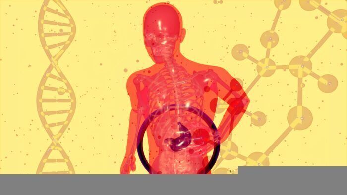 Scoperta una nuova parte del corpo umano nascosta nei polmoni