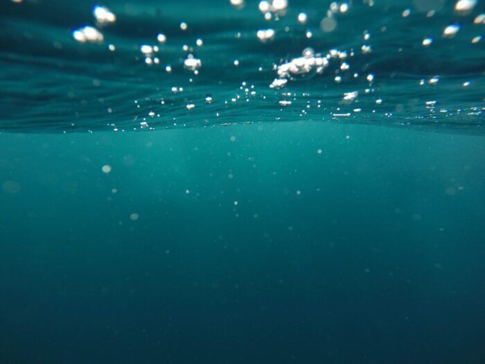 Identificato lo “tsunami” di virus sconosciuti nell’oceano