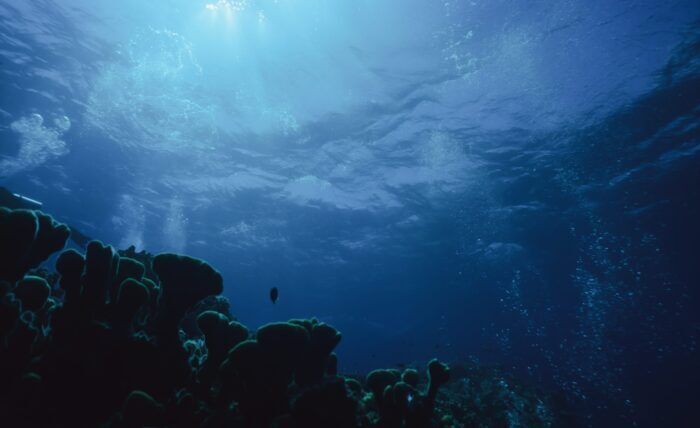 Scoperta misteriosa “città perduta” in fondo all’oceano ecosistema unico al mondo