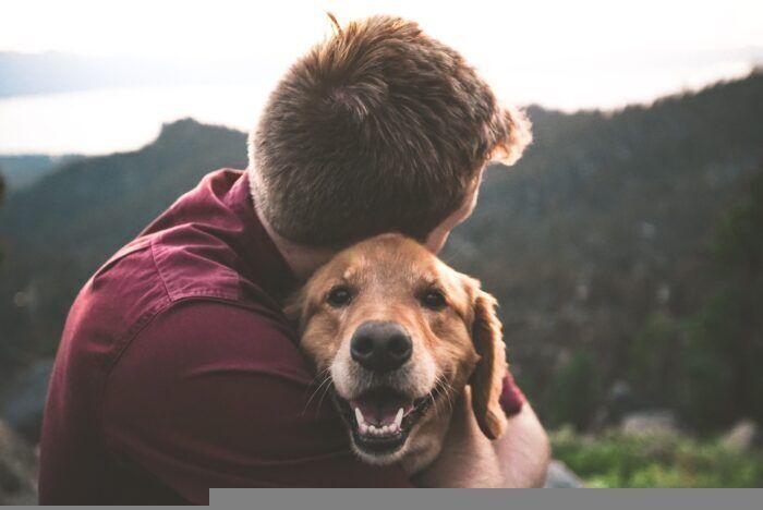 Accarezzare i cani è terapeutico: questo gesto interessa la parte del cervello che regola le emozioni