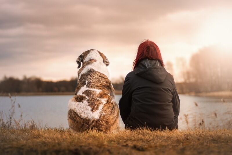 Perché il lutto per la perdita di un animale domestico può essere più doloroso del lutto per una persona