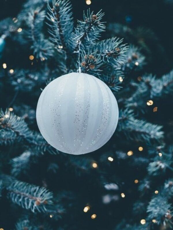 Le news sotto l’albero di IN