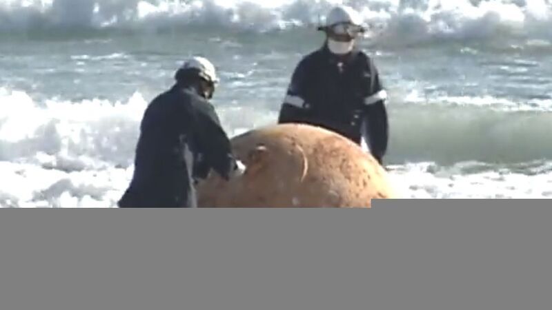 Il mistero della strana sfera metallica trovata su una spiaggia del Giappone