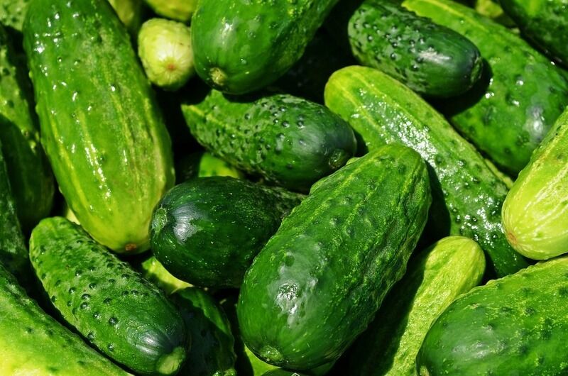 Cetrioli: 6 principali benefici per la salute giusti per noi