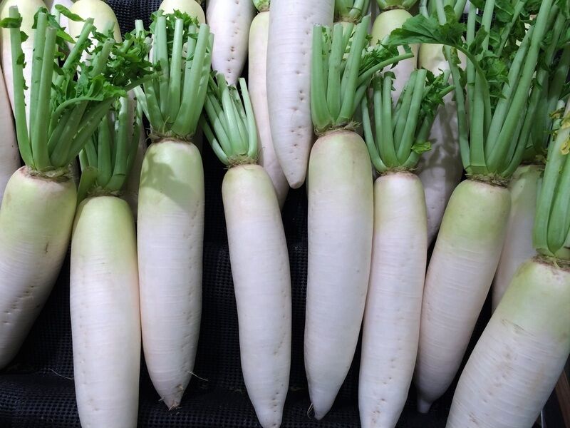 Daikon per dimagrire: proprietà e benefici del tubero giapponese