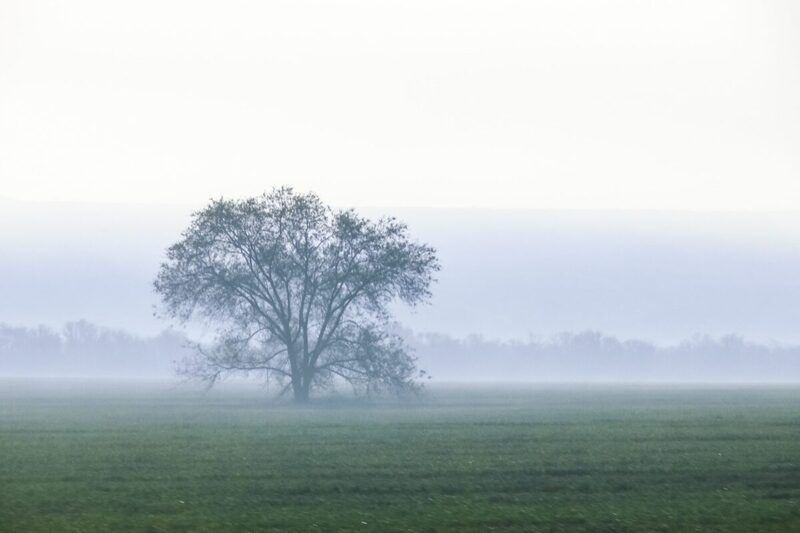 In vendita la casa di Jane Austen: quanto costa vivere nelle sue atmosfere