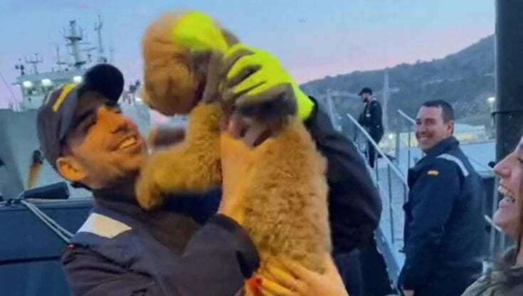 Marinaio sbarca dopo mesi: il video virale della felicità del suo cane
