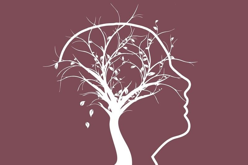 Scienza: svelata una nuova rete genetica del morbo d’Alzheimer