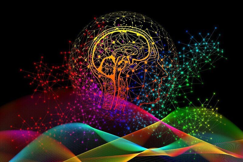 Evento casuale ha modificato il cervello umano 1 milione di anni fa