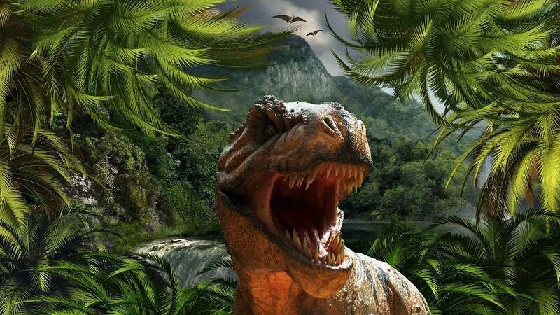 Evoluzione dei dinosauri intelligenti: la struttura cerebrale è simile a quella degli uccelli