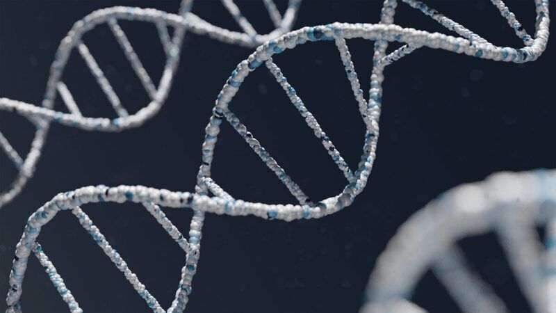 Nuove ricerche sul DNA cambiano l’origine della specie umana