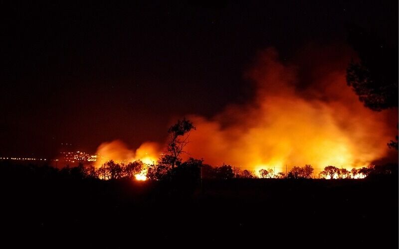Cambiamento climatico: gli incendi boschivi aumentano le emissioni di carbonio