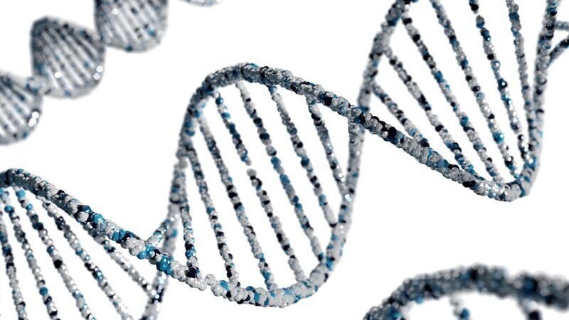 Nuovo approccio all’assemblaggio genetico: il puzzle del pangenoma umano