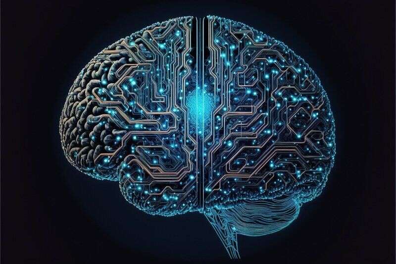 Il tempo è relativo: studio rivela come funziona l’orologio interno del cervello