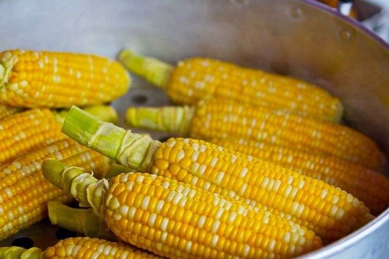 Gli effetti del mais sul corpo: benefici nutrizionali e possibili considerazioni