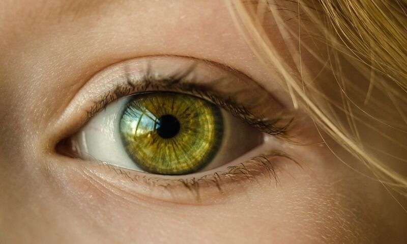 Pupille che cambiano dimensione: non è solo a causa della luce, ma dei neuroni