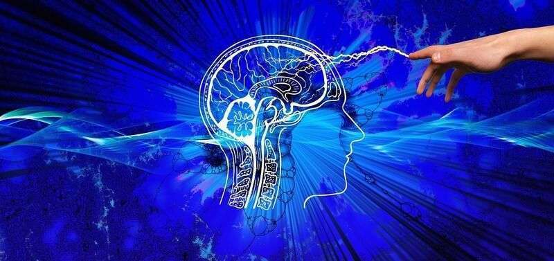 Un secolo di paradigma ribaltato: la forma del cervello conta più della connettività neurale