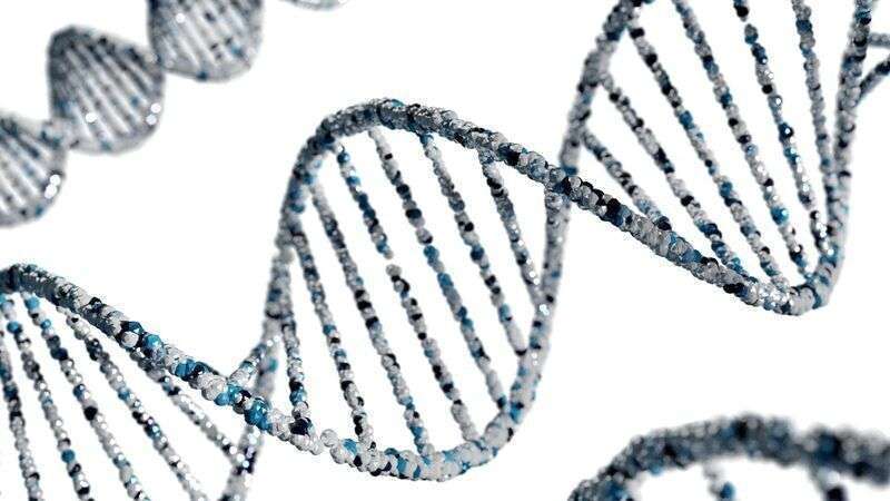 Unknome: un database dei geni umani di cui sappiamo quasi nulla