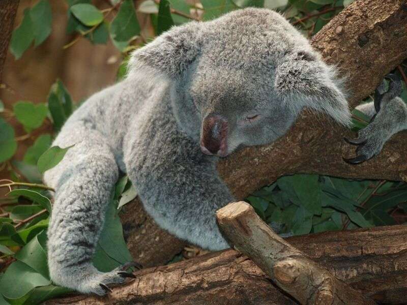Tre motivi per cui è importante dormire regolarmente ogni giorno