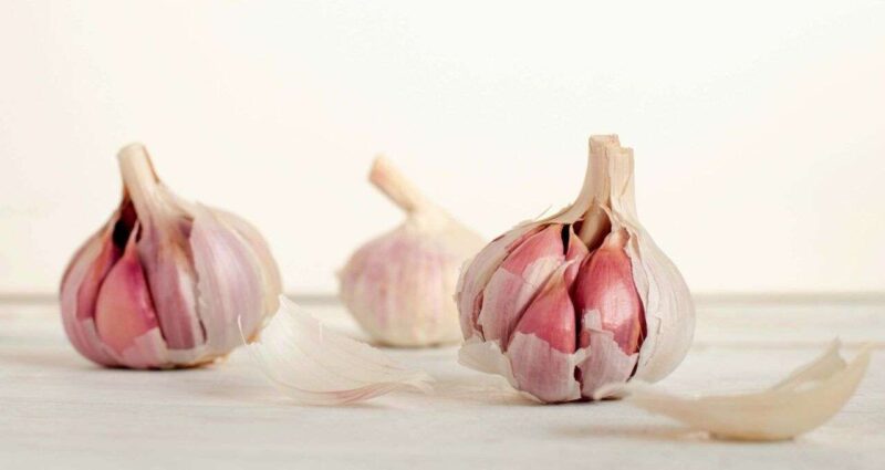 Yogurt: Il Segreto Svelato per Sconfiggere l’Alito d’Aglio