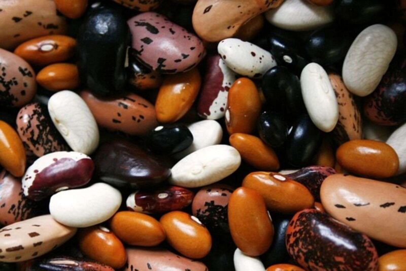 Alimentazione: 10 cibi trasformati che fanno davvero bene alla salute