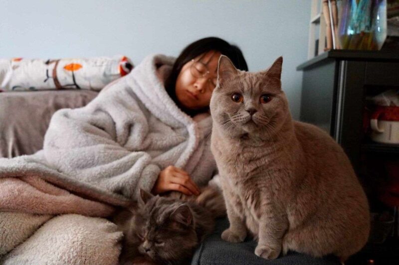 Dormire con il Tuo Cane o Gatto: Come Influisce su di Te e il Tuo Amico a 4 zampe