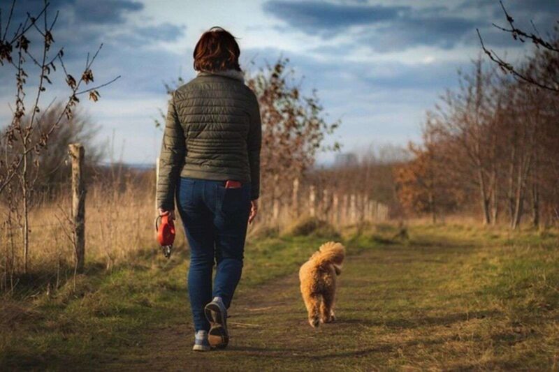 Camminare per dimagrire: una soluzione accessibile e salutare