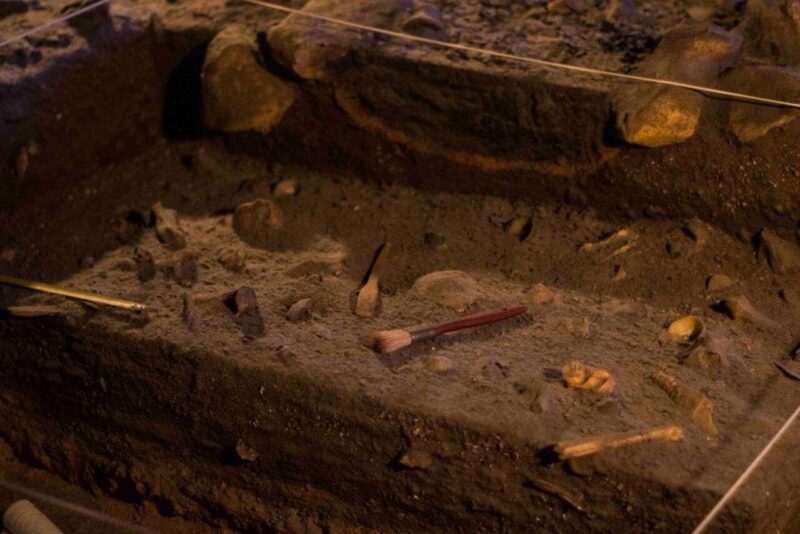 Rivelazione di un villaggio neolitico unico in Europa dopo 150 anni di ricerche