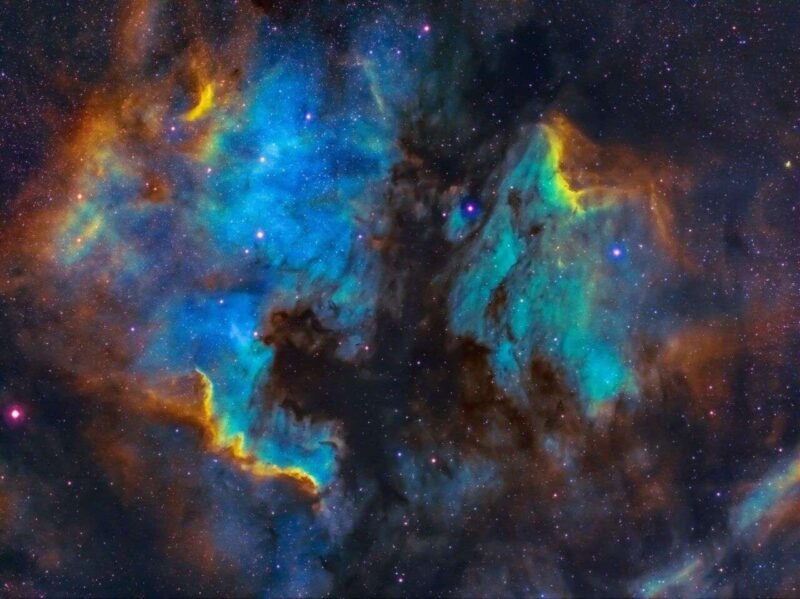 Gli scienziati hanno creato per la prima volta embrioni nello spazio
