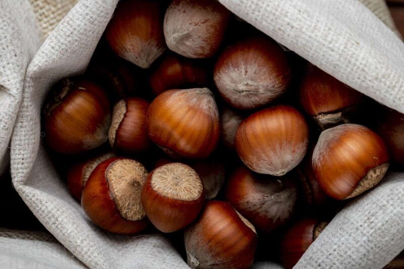 Le Castagne e l’Ingrassare: mito o realtà?