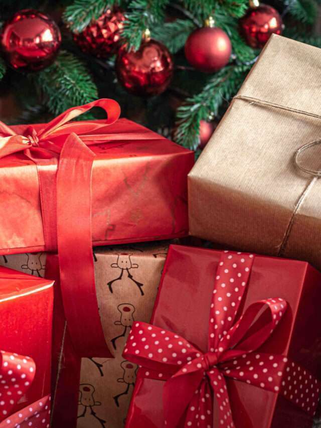 Le news IN sotto l’albero di Natale