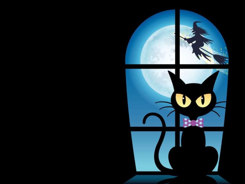 La Storia del gatto della Befana, misterioso compagno notturno