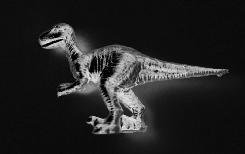La scomparsa dei dinosauri: un palcoscenico per l’estinzione oltre l’asteroide