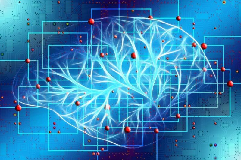 Scoperta una strategia rivoluzionaria per invertire l’amnesia da trauma cerebrale