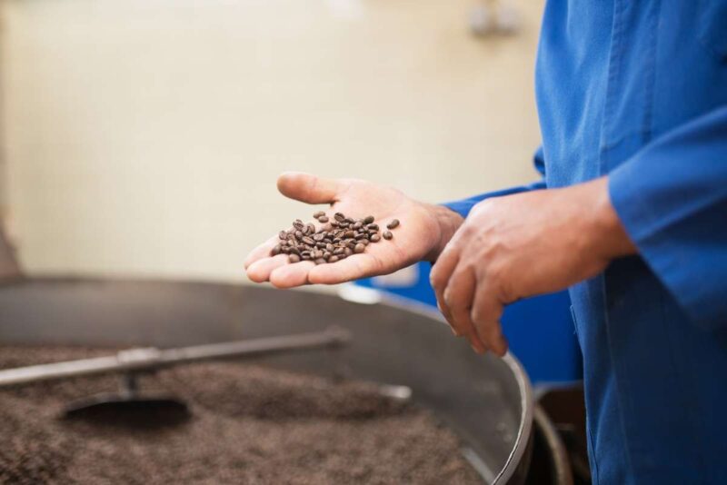 Connubio perfetto tra sostenibilità e gusto: caffè prodotta in laboratorio